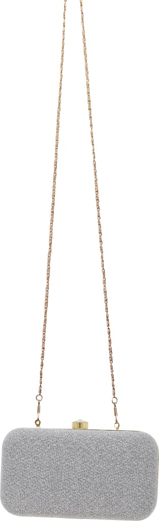 AILTINOParty Silver  Clutch  - Regular Size