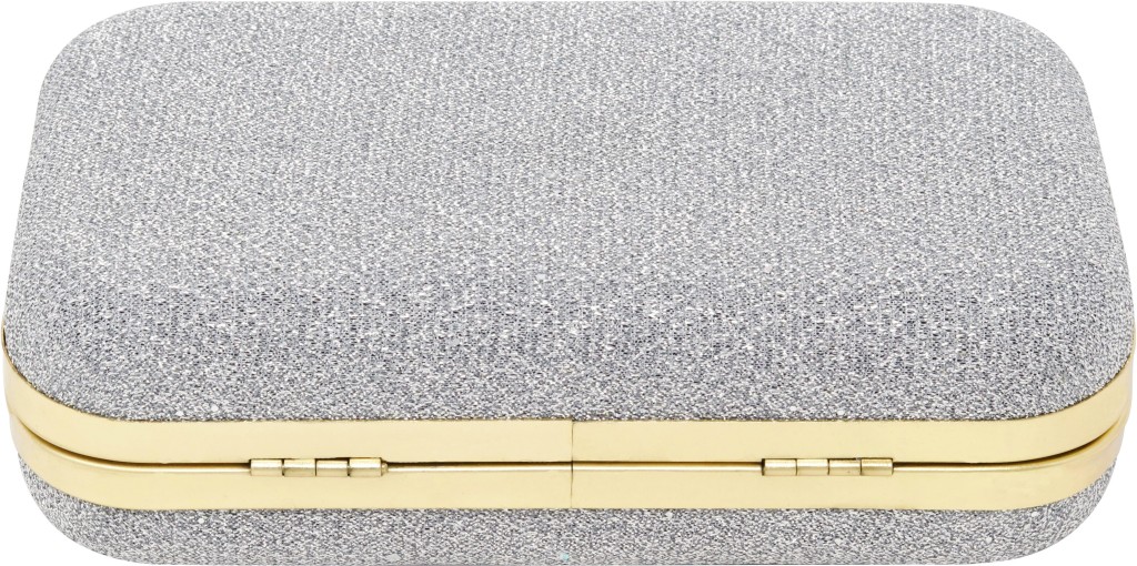 AILTINOParty Silver  Clutch  - Regular Size