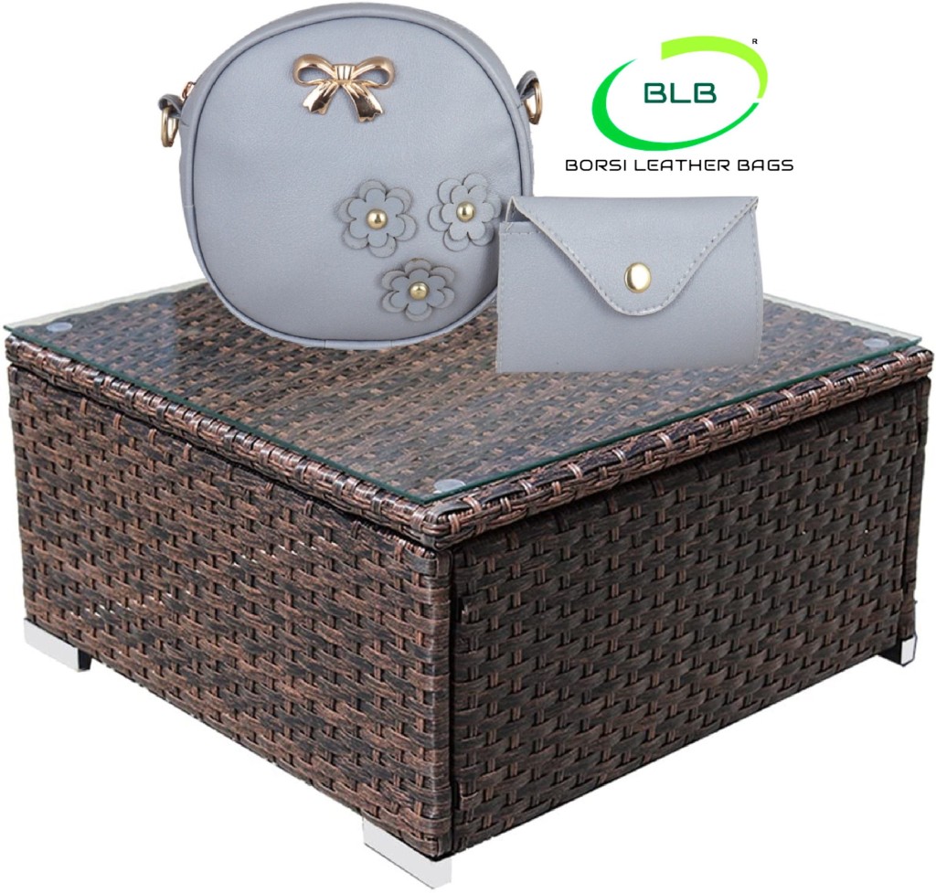 ChieflyGrey Women Shoulder Bag(Pack of 3)